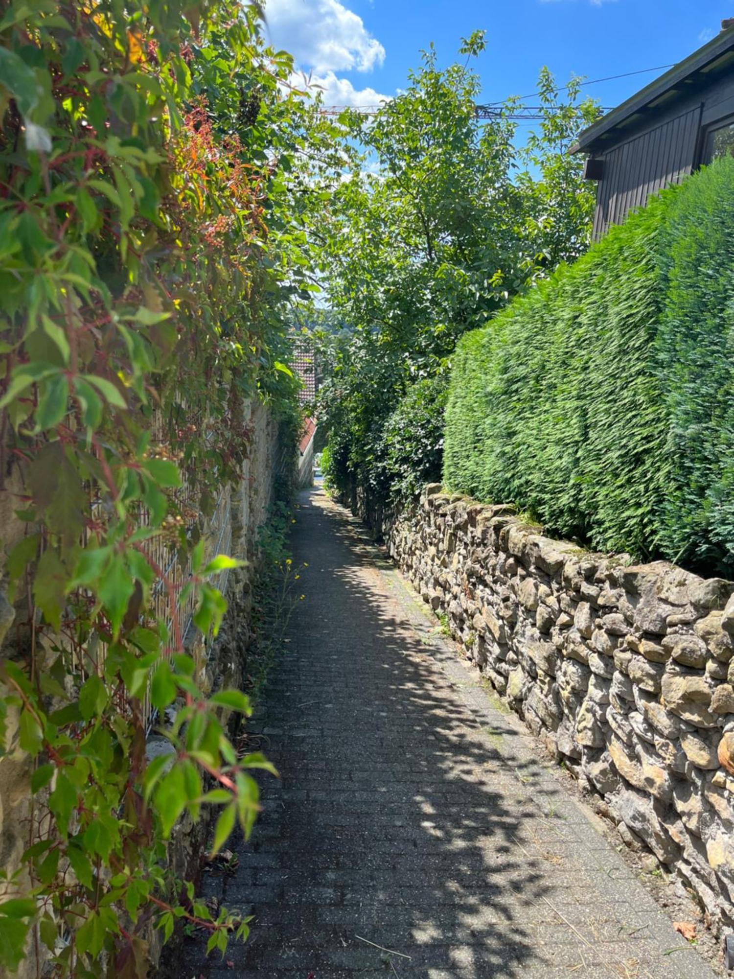 "An Der Alten Muehle 1" Fewo 120 Qm, Zwei Grosse Schlafzimmer, Suedbalkon, Gartenterrasse & Wallbox Bad Bentheim Eksteriør billede