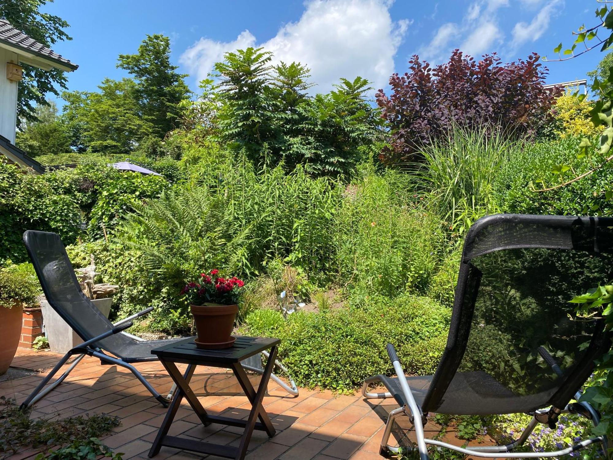 "An Der Alten Muehle 1" Fewo 120 Qm, Zwei Grosse Schlafzimmer, Suedbalkon, Gartenterrasse & Wallbox Bad Bentheim Eksteriør billede