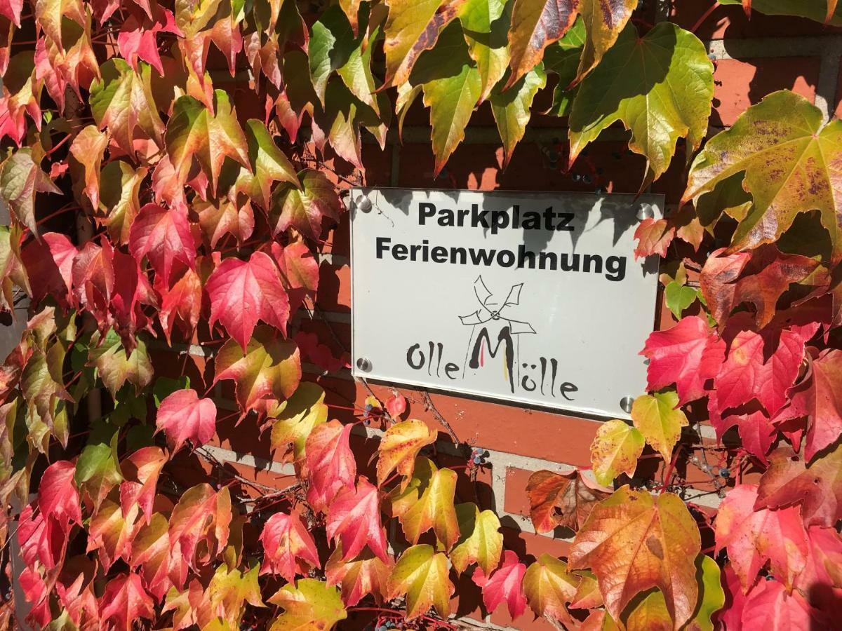 "An Der Alten Muehle 1" Fewo 120 Qm, Zwei Grosse Schlafzimmer, Suedbalkon, Gartenterrasse & Wallbox Bad Bentheim Eksteriør billede